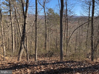 0 Old Oregon Rd unit VAWR139916, Front Royal, VA 22630 - photo 3