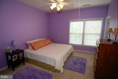 42881 Vestals Gap Dr, Broadlands, VA 20148 - photo 5