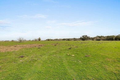 0 Tract 3- 35 00 Acres unit TBD Kleihege Rd, New Ulm, TX 78950 - photo 6