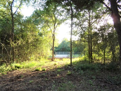 31068 Hegar Rd, Hockley, TX 77447 - photo 7