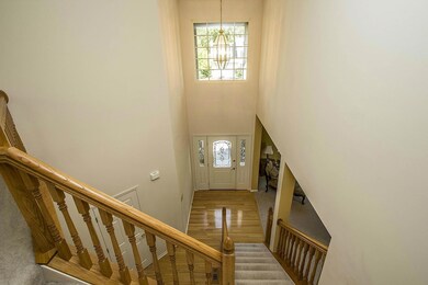 Entry View from Above_1