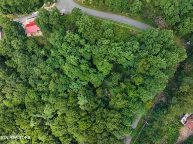 006-1005LaurelRoad-Townsend-TN-37882-SMA