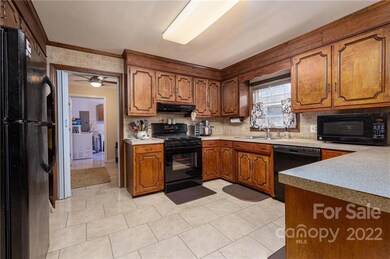 3925 Mcginnis Place, Iron Station, NC 28080 - photo 3