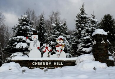 0 Scattered Timber Rd unit 491 & 492 4785272, Wilmington, VT 05363 - photo 2