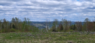 M28 L20b&22, Madawaska, ME 04756 - photo 7