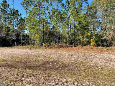 0 Hidden Horse Way unit 393992, Tallahassee, FL 32305 - photo 4