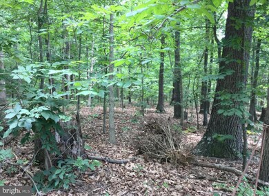 0 Blue Bell Ln unit VASH121500, Strasburg, VA 22657 - photo 6