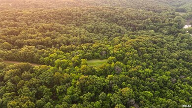 000 N Tarters Ferry Ln, Smithfield, IL 61477 - photo 6