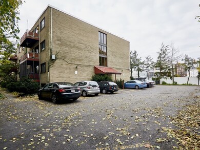 159 Concord Ave unit 1A, Cambridge, MA 02138 - photo 4