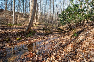 1590 Mill House Rd, Woolwine, VA 24185 - photo 3