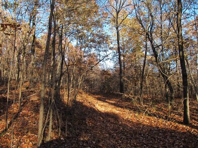 3605 Madison, Red Star, AR 72752 - photo 5