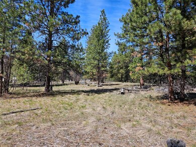 375 Healer Rd, Hamilton, MT 59840 - photo 4