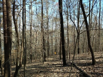 0 L- 258 Big Ridge Point unit 1013384, Sharps Chapel, TN 37866 - photo 2