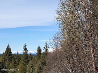 66384 Markoka Ave, Anchor Point, AK 99556 - photo 2