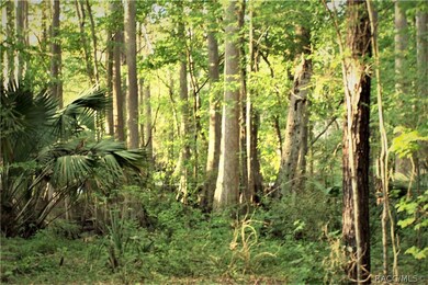 Land in mostly in Cypress and Palmetto Palms