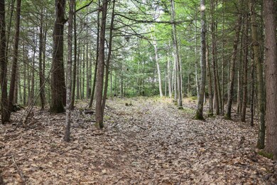 49 Cranberry Ridge Rd, Freeport, ME 04032 - photo 3