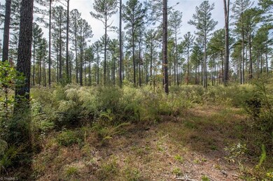 00 Burrell Allen Rd, Denton, NC 27239 - photo 2