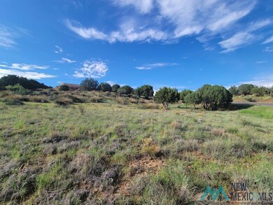XX Copper Ridge Dr, Silver City, NM 88061 - photo 2