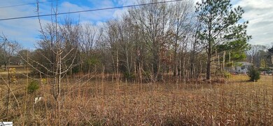 288 Willingham Rd, Belton, SC 29627 - photo 5