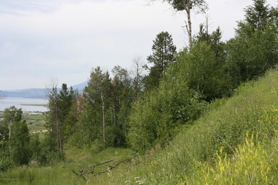 Views to the North