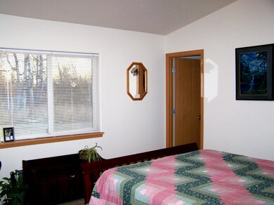 Master bedroom with large window