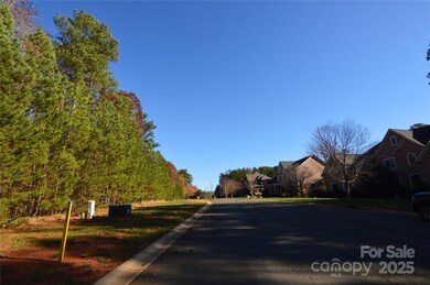 3228 Ashwood Park Dr unit 294, Belmont, NC 28012 - photo 7