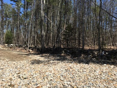 46acres Acton Ridge Rd, Acton, ME 04001 - photo 6