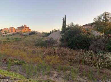 0 Little Canyon Ln, Hidden Meadows, CA 92026 - photo 6