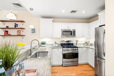 10 Corporal McTernan St unit C206, Cambridge, MA 02139 - photo 4