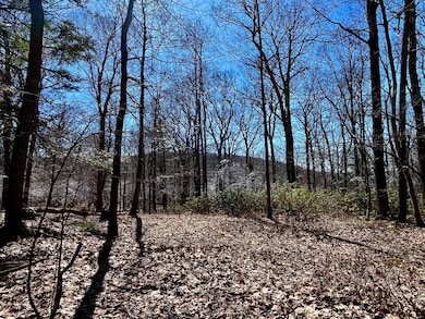 00 Road b, Wawarsing, NY 12566 - photo 7