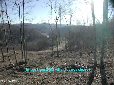 old image from cleared, lake