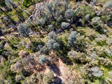 DJI_0041