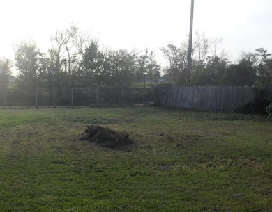 Backyard.