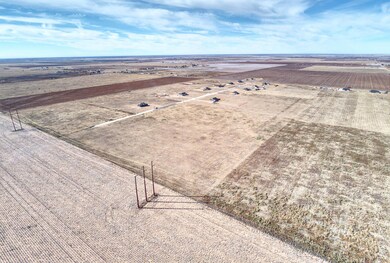 Lot 10 County Road 5330, Shallowater, TX 79363 - photo 6