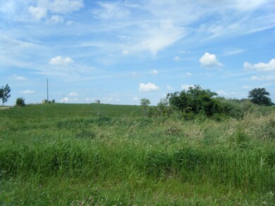 DSCF5940