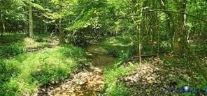 1380 Jasmine Rd, Goochland, VA 23063 - photo 7