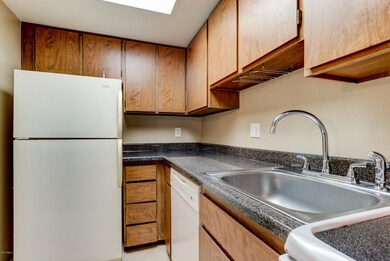 700 W University Dr #256-10