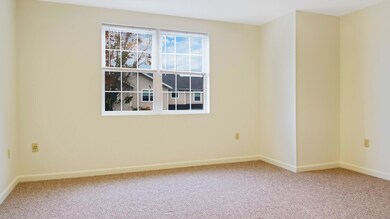 15_DJI_0423_DxO_mls
