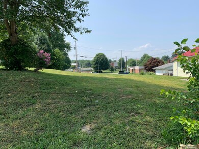 1209 E Myrtle Ave, Johnson City, TN 37601 - photo 2