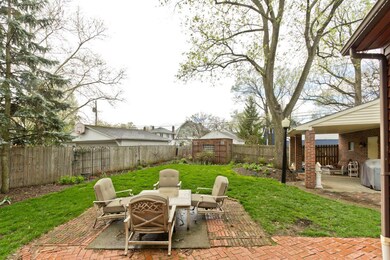 Patio & Backyard
