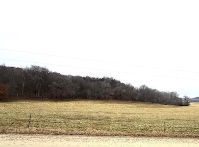 19xx 65th St NE, Rochester, MN 55906 - photo 6