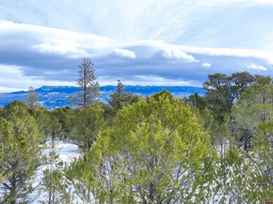 Lot 28 Fisher Canyon Dr, Ridgway, CO 81432 - photo 5