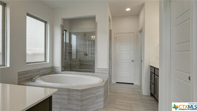 353 Lacey Oak Loop, San Marcos, TX 78666 - photo 5