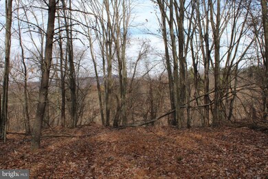 21.16 AC Ridge View Rd, Moorefield, WV 26836 - photo 2