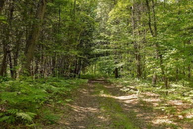 000 V/L 13 Mile Rd unit Par D, Bitely, MI 49309 - photo 2