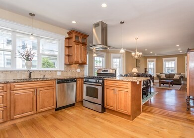 266 Belmont St unit 1, Watertown, MA 02472 - photo 3