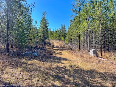 26xx Flowery Trail Rd, Chewelah, WA - photo 7