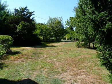 Yard/Garden. Front driveway and yard