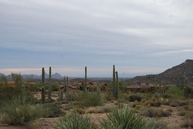 Saguaro Forest 132 9921 E Honey Mesquite