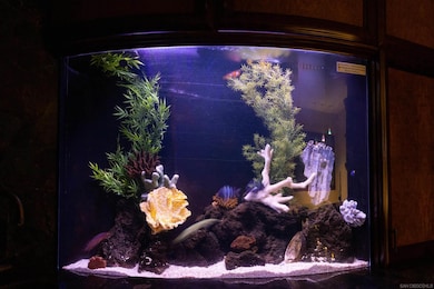 3921 Ocean Front Walk, San Diego, CA 92109 - photo 7